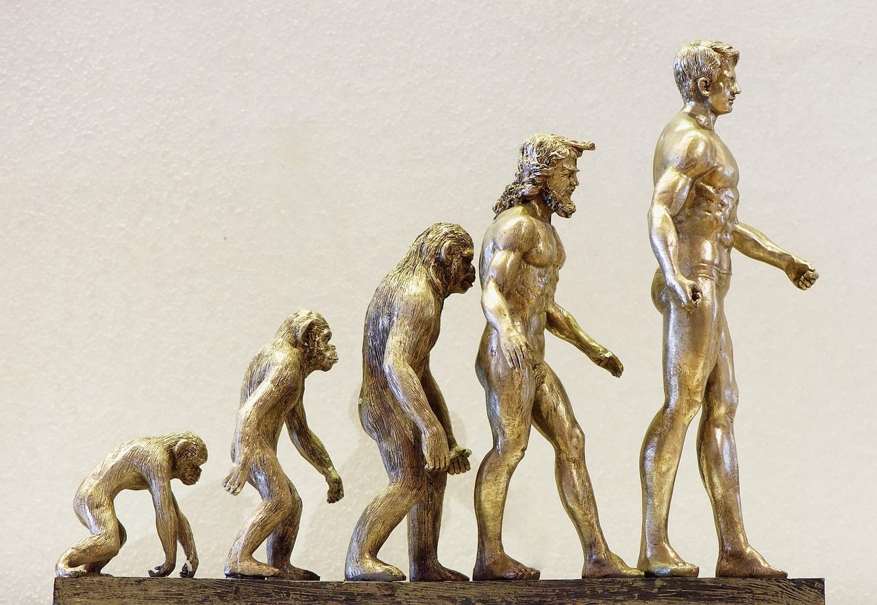 découvrez le développement participatif, une approche collaborative qui engage les communautés dans la planification et la mise en œuvre de projets, favorisant ainsi l'innovation, l'autonomisation et une croissance durable.