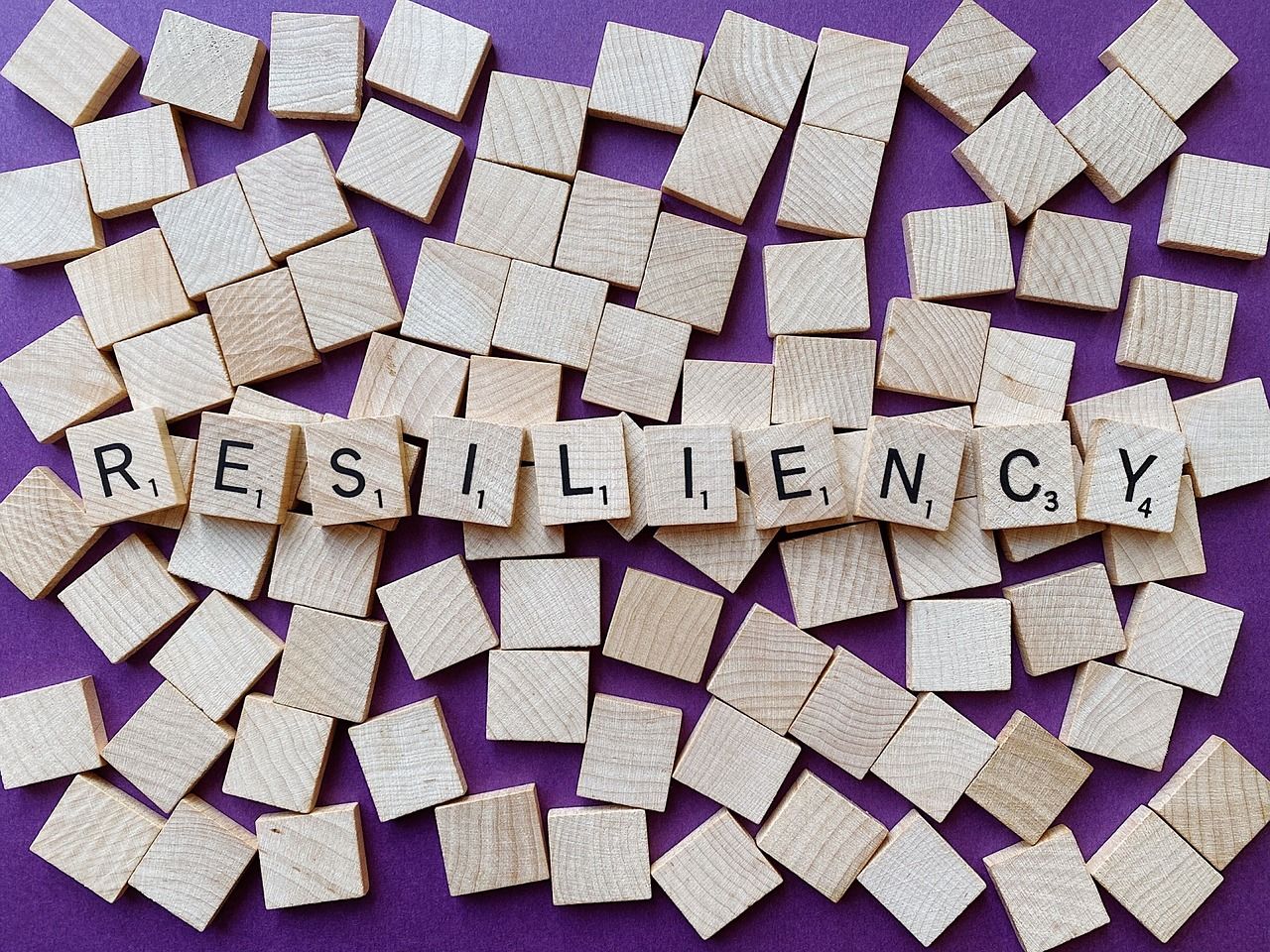 découvrez comment la résilience communautaire renforce les liens sociaux, favorise la solidarité et aide les collectivités à surmonter les crises. apprenez des stratégies pour bâtir des communautés plus fortes et durables face aux défis contemporains.