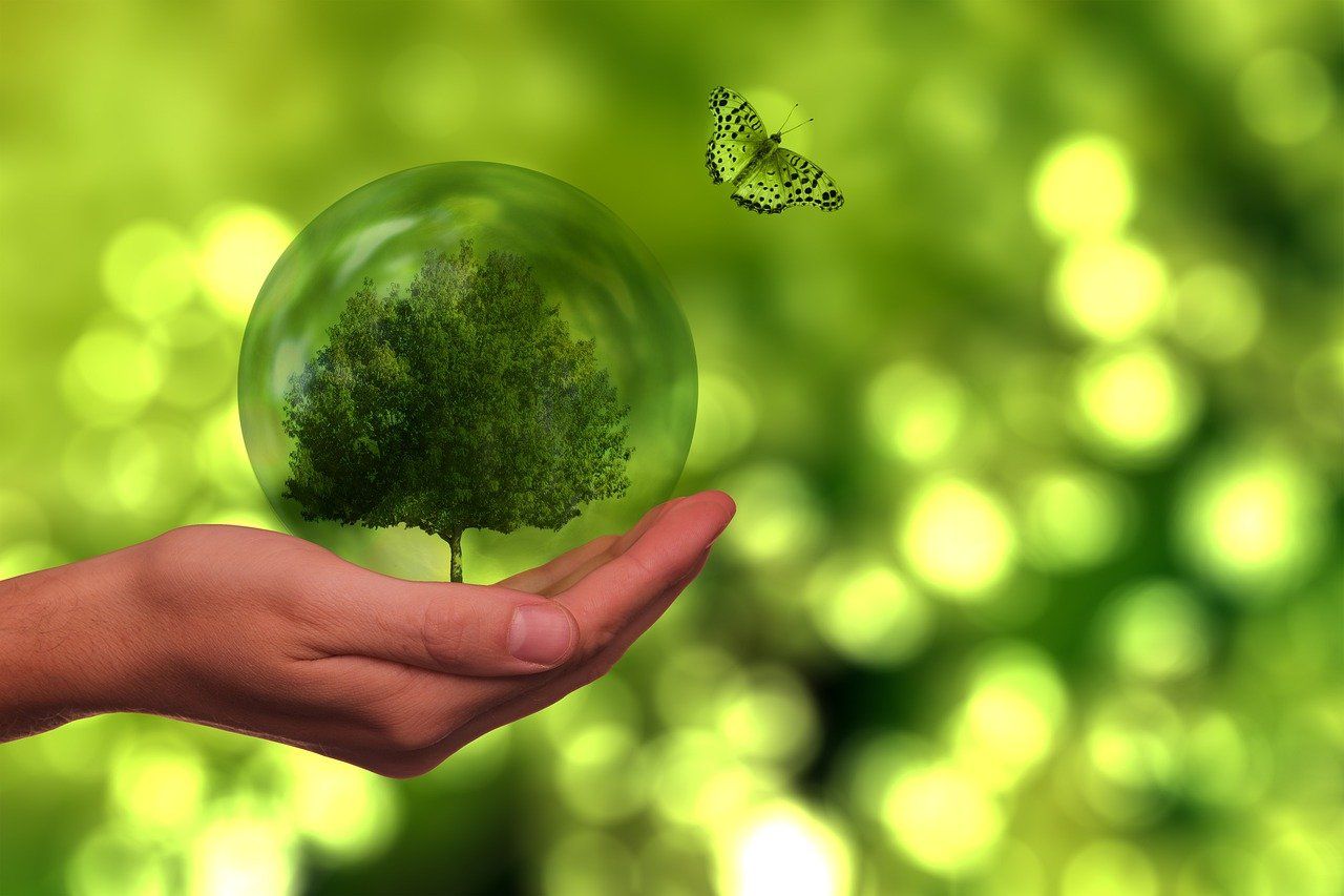 découvrez l'importance de la durabilité dans notre monde moderne. explorez des pratiques écoresponsables, des innovations vertes et des moyens d'adopter un mode de vie durable pour préserver notre planète pour les générations futures.
