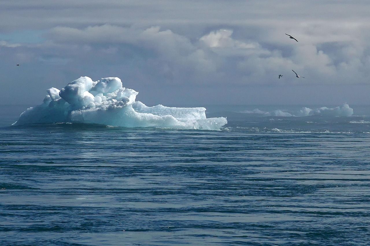 découvrez les enjeux et les impacts du changement climatique, ses causes, ses conséquences sur l’environnement et des solutions pour protéger notre planète face à ce défi mondial.