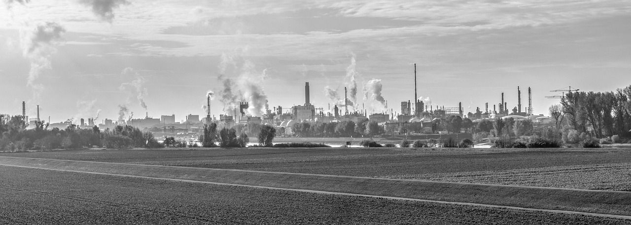 découvrez l'impact environnemental et ses effets sur la planète, ainsi que les solutions pour réduire notre empreinte écologique.