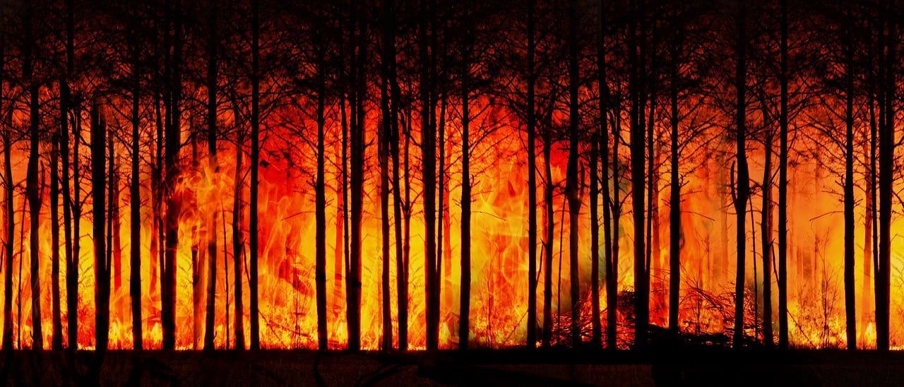 découvrez les causes, impacts et solutions face au changement climatique. informez-vous sur les enjeux environnementaux actuels et comment agir pour protéger notre planète.
