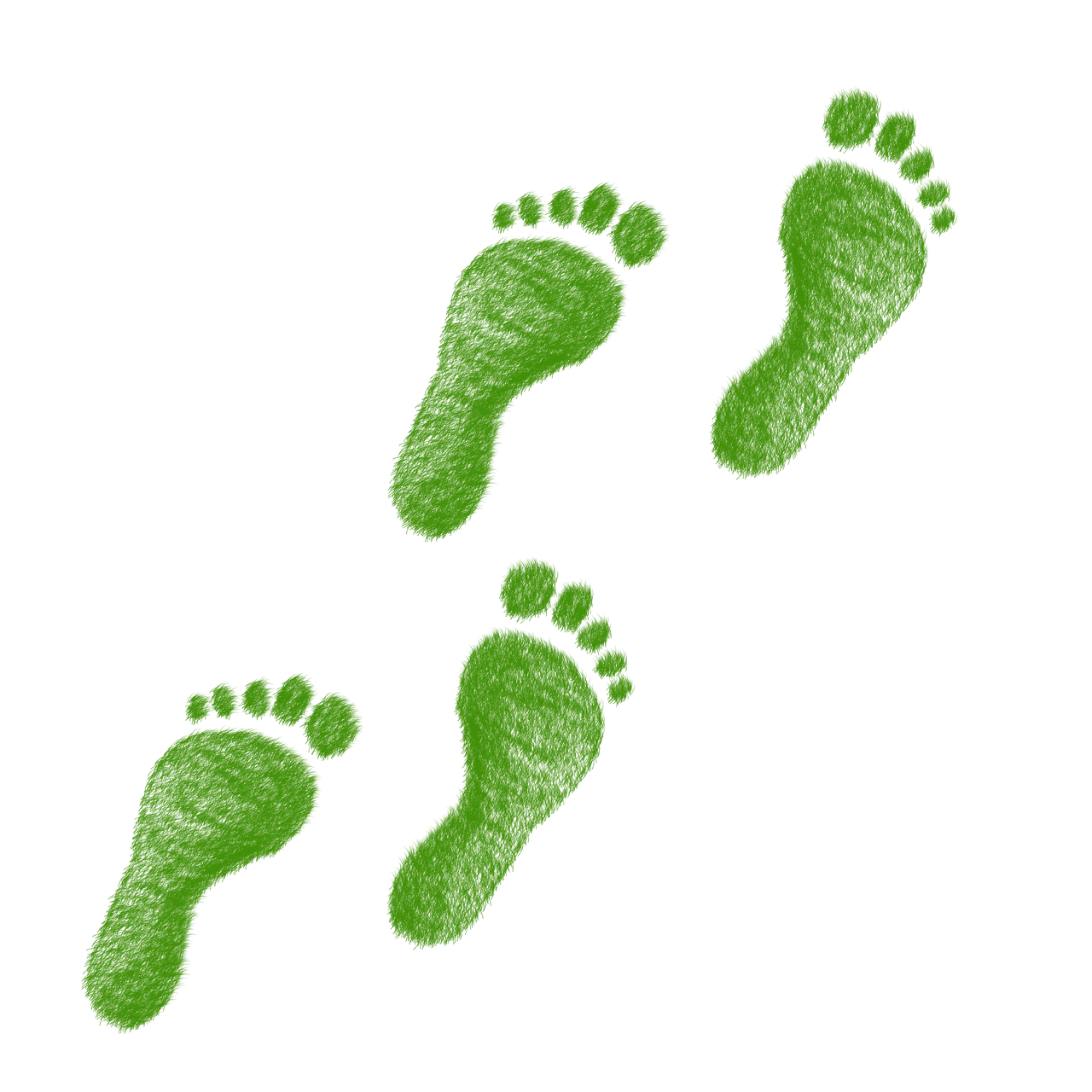 découvrez ce qu'est l'empreinte écologique, son impact sur l'environnement et les moyens de la réduire pour un mode de vie plus durable.