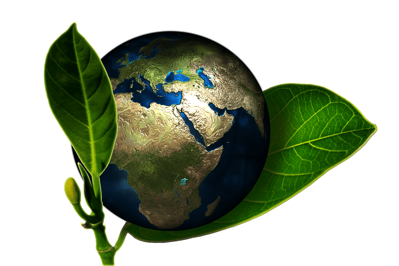 découvrez comment l'écologie politique explore les interactions entre la politique et l'environnement, et propose des solutions durables pour un avenir équitable. plongez dans les enjeux écologiques contemporains et les mouvements sociaux qui œuvrent pour un monde plus respectueux de la nature.