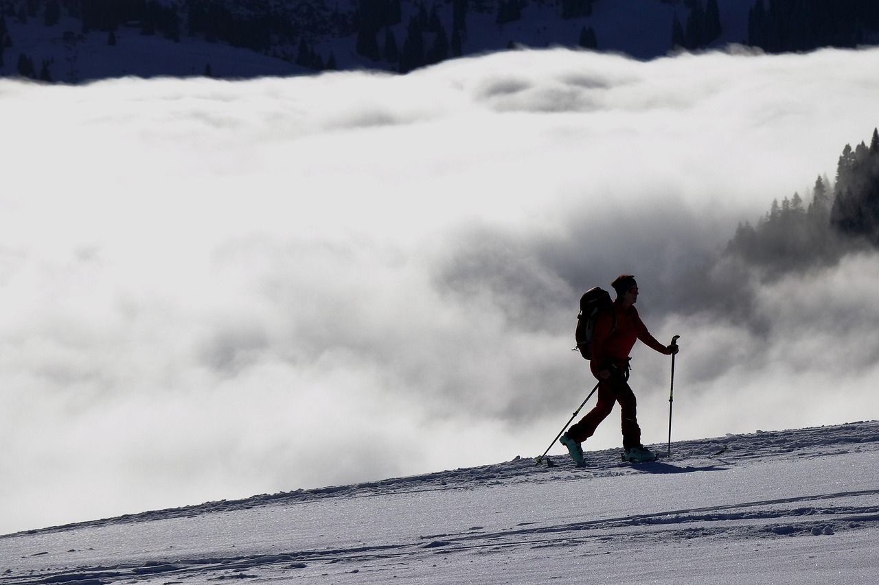 découvrez les sports d'hiver : ski, snowboard, patinage et bien plus pour profiter pleinement de la saison froide.
