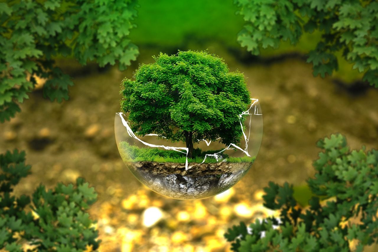 découvrez l'impact environnemental et les actions pour préserver notre planète face aux défis écologiques actuels.