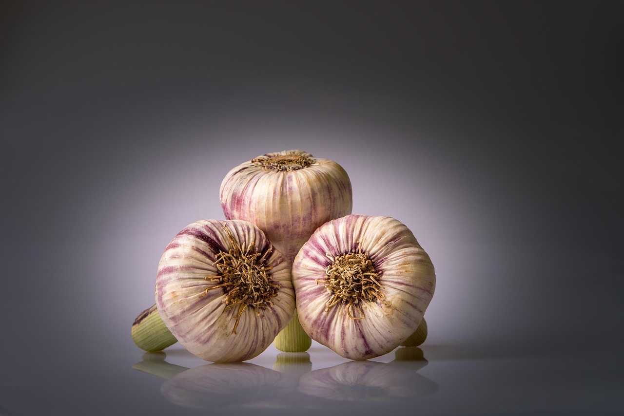 découvrez notre sélection de condiments pour rehausser la saveur de vos plats avec des saveurs variées et authentiques.