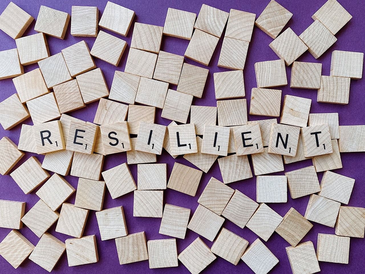 découvrez comment renforcer la résilience communautaire face aux défis contemporains. explorez des stratégies, des initiatives et des témoignages inspirants qui favorisent la solidarité et l'entraide au sein des collectivités.