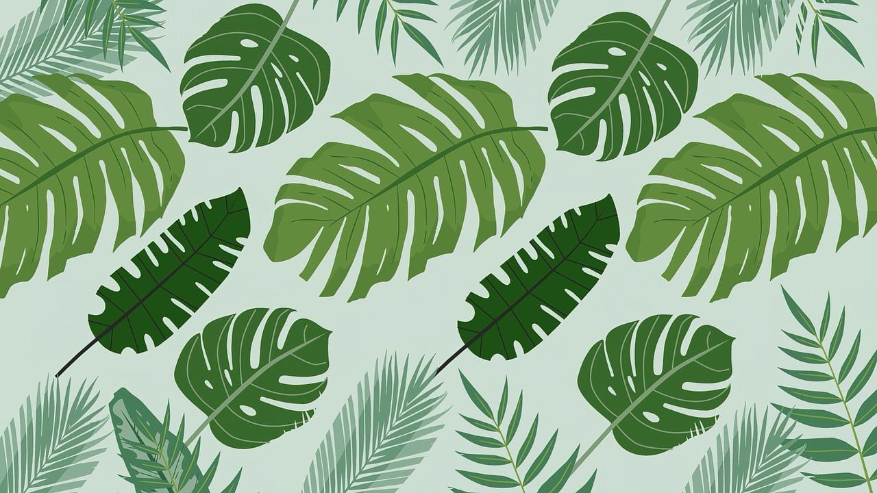 découvrez le green bonus : un avantage écologique pour encourager les initiatives durables, économiser de l'énergie et soutenir la transition vers un mode de vie plus respectueux de l'environnement.