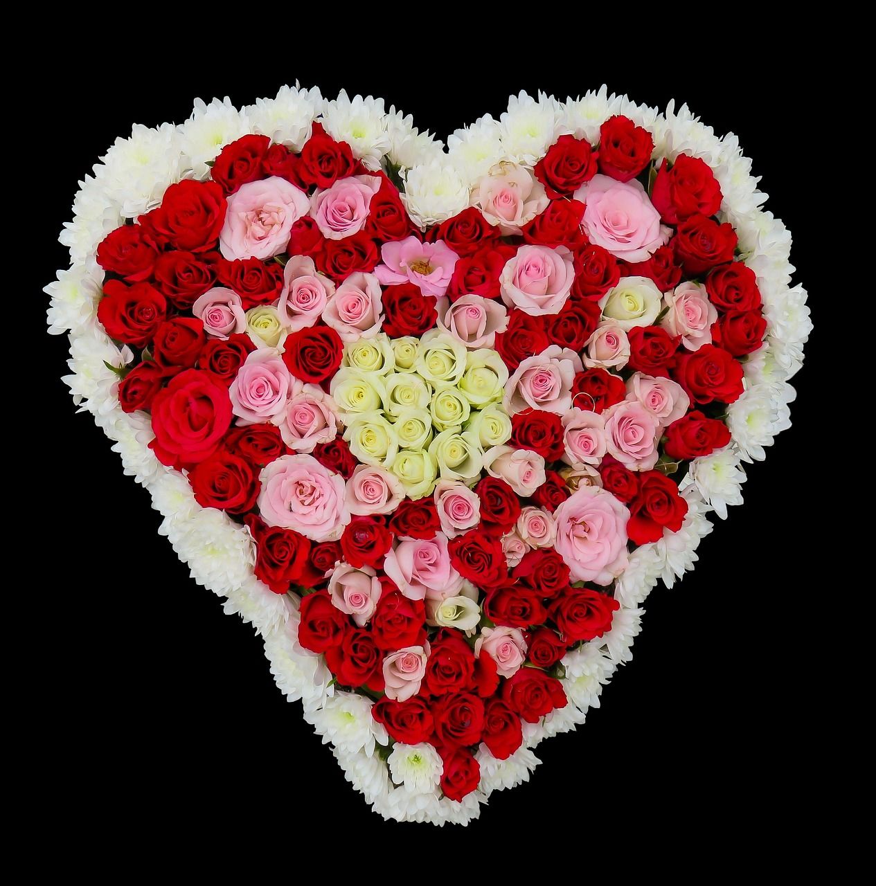 découvrez nos fleurs durables alliant beauté et respect de l'environnement pour des bouquets éco-responsables et élégants.