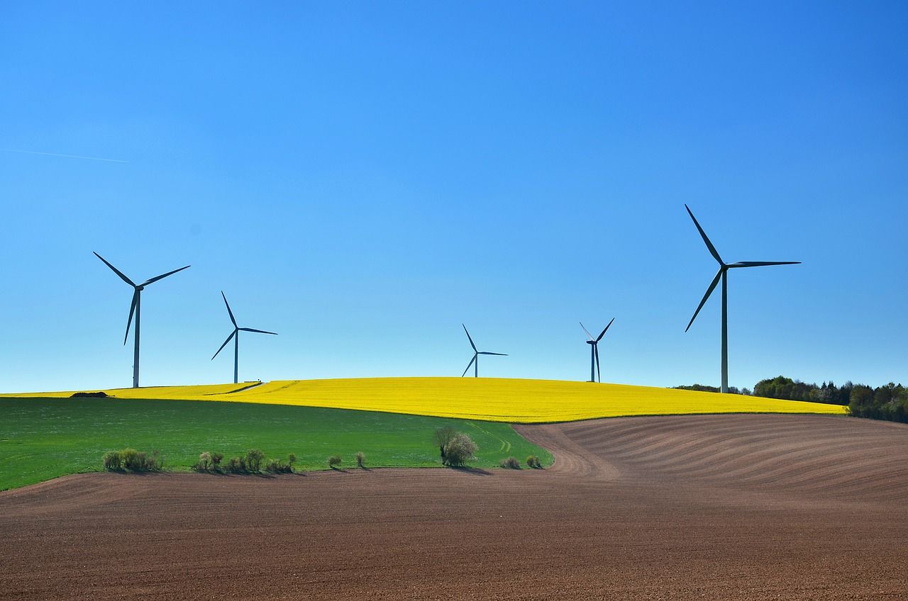 découvrez des pratiques durables qui favorisent la préservation de l'environnement et améliorent la qualité de vie. apprenez comment intégrer des solutions éco-responsables dans votre quotidien pour un avenir plus vert et durable.