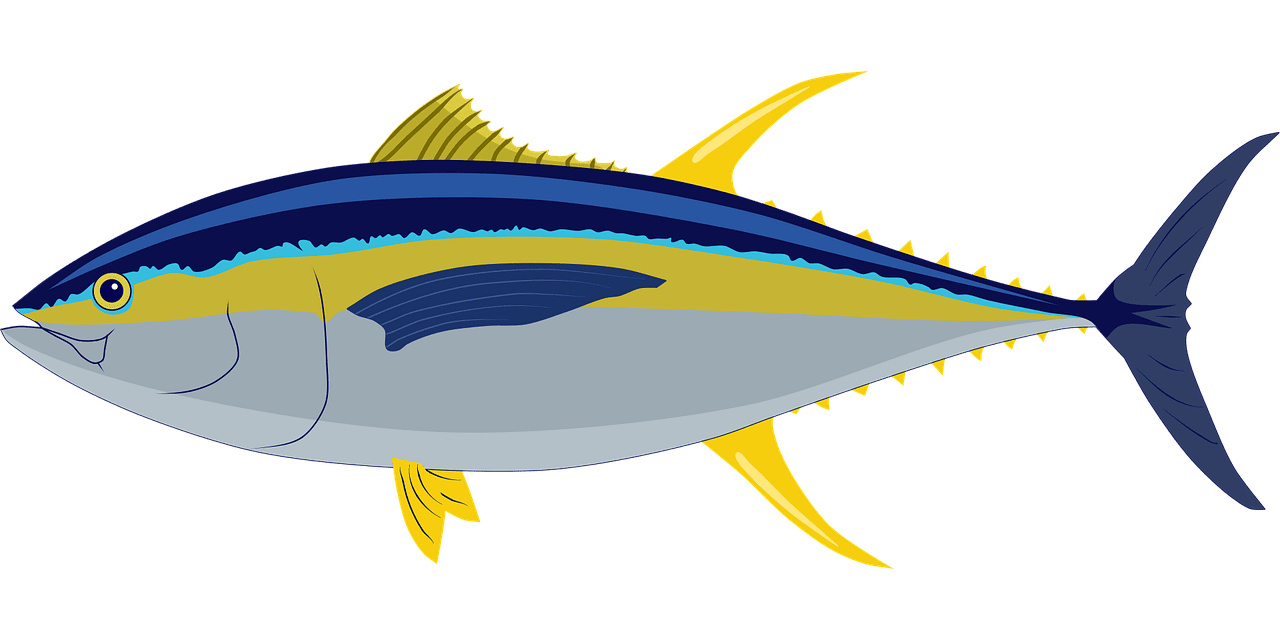 découvrez la beauté et la diversité des océans, véritables poumons bleus de notre planète, et explorez leurs mystères fascinants.