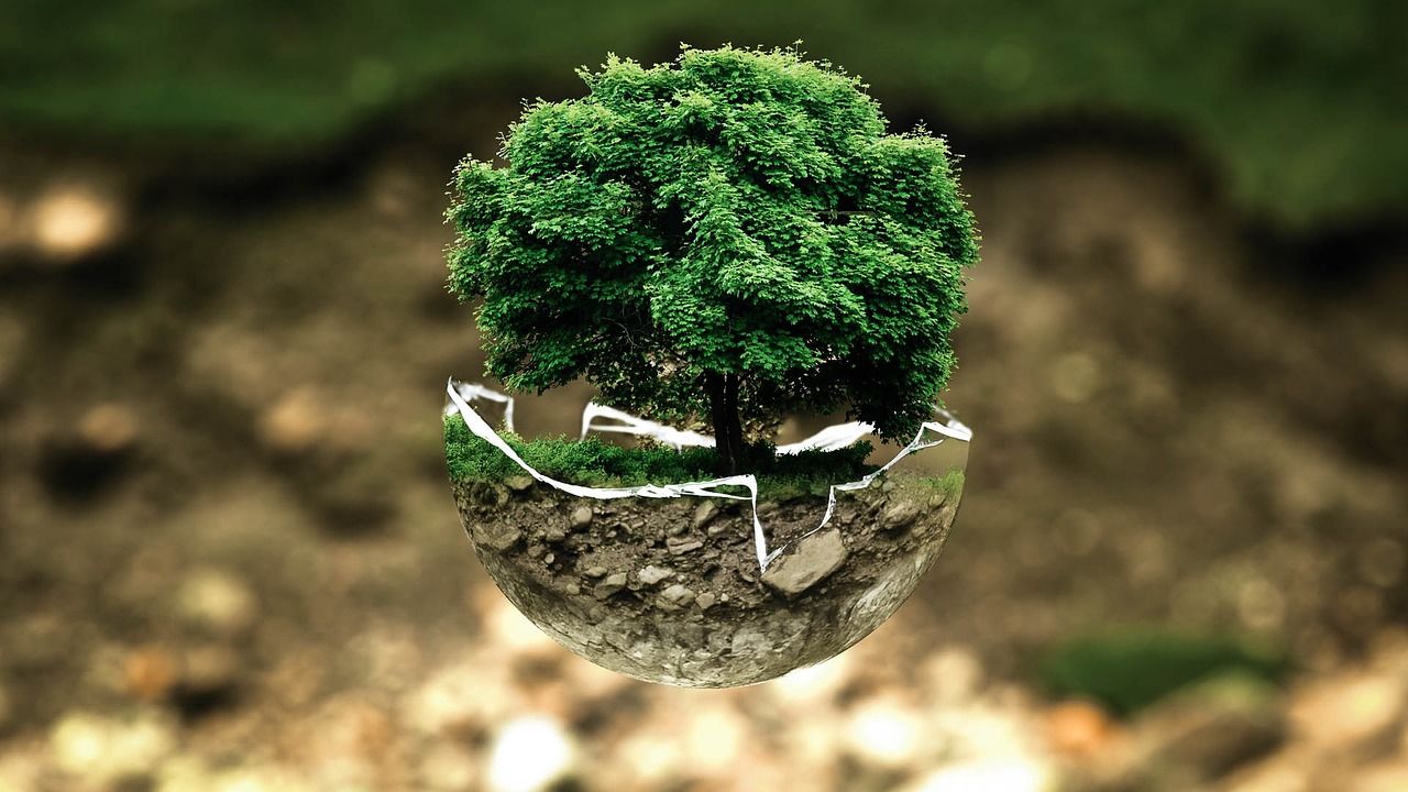 découvrez les réglementations environnementales qui protègent notre planète. apprenez comment elles influencent les industries, promeuvent la durabilité et garantissent la préservation des ressources naturelles pour les générations futures.