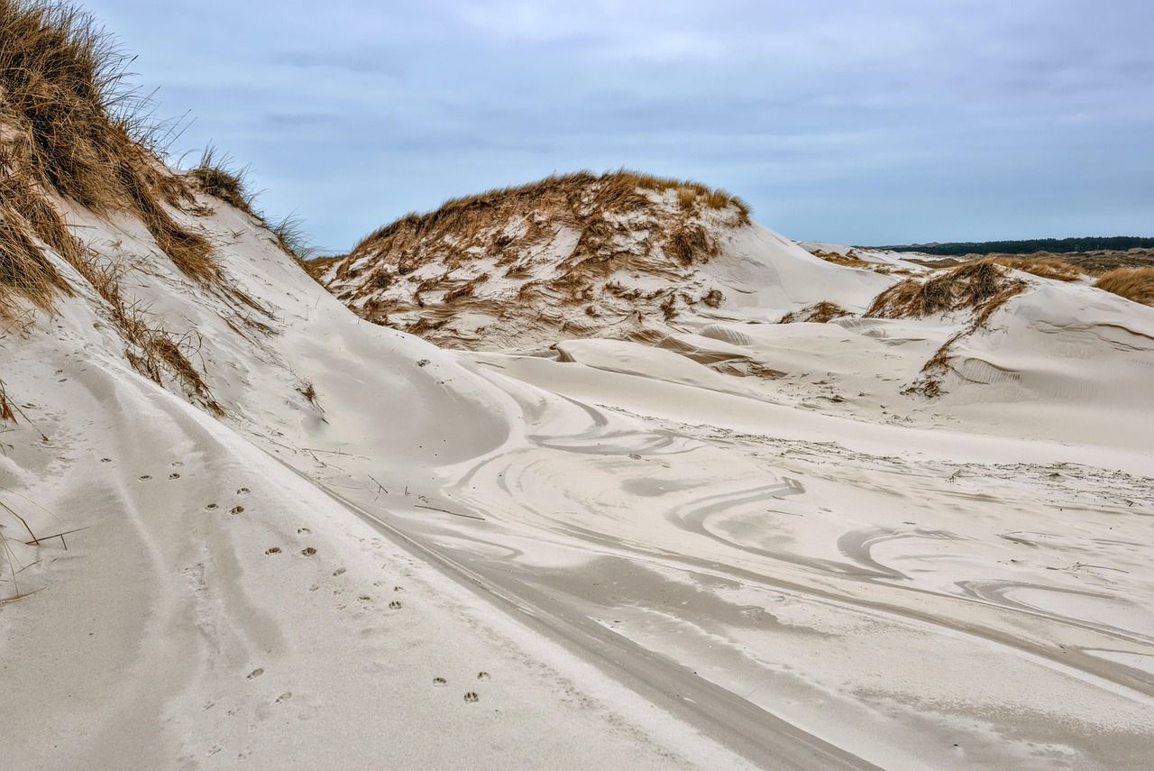 découvrez la beauté des paysages naturels à travers des panoramas époustouflants, des paysages montagnards majestueux aux plages sereines. éveillez votre amour pour la nature et plongez dans des expériences authentiques au cœur des merveilles de notre planète.
