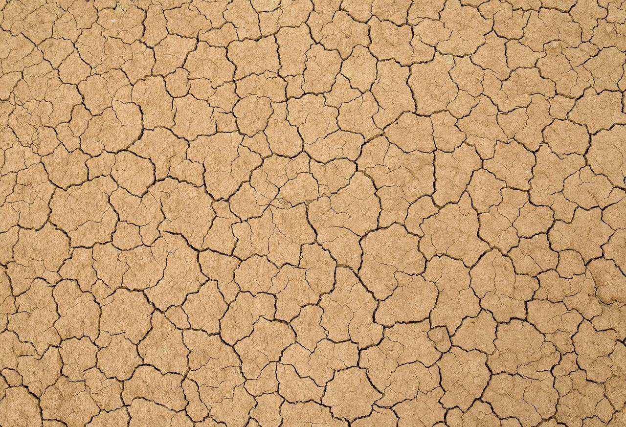 découvrez les enjeux de la pollution des sols, ses causes et ses conséquences sur l'environnement et la santé humaine. informez-vous sur des solutions durables pour lutter contre cette problématique croissante.