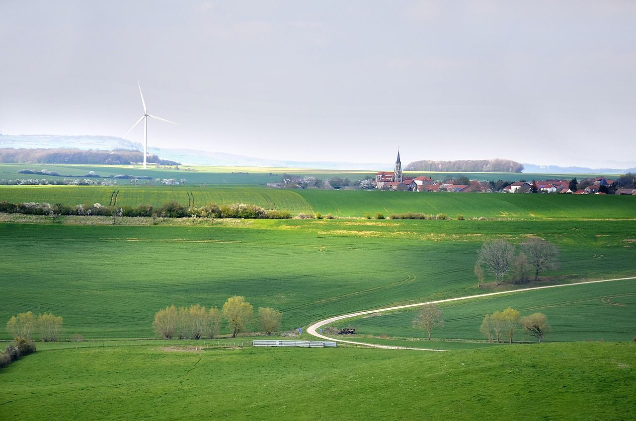 découvrez les principes du développement durable, une approche essentielle pour préserver notre planète tout en promouvant le progrès économique et social. apprenez comment intégrer des pratiques durables dans votre quotidien.