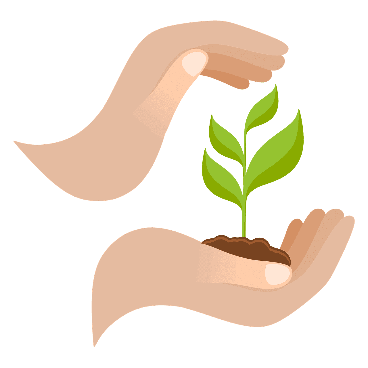 découvrez les clés d'une croissance durable qui allie performance économique, responsabilité environnementale et bien-être social. apprenez à intégrer des pratiques durables dans votre stratégie d'entreprise pour un avenir meilleur.