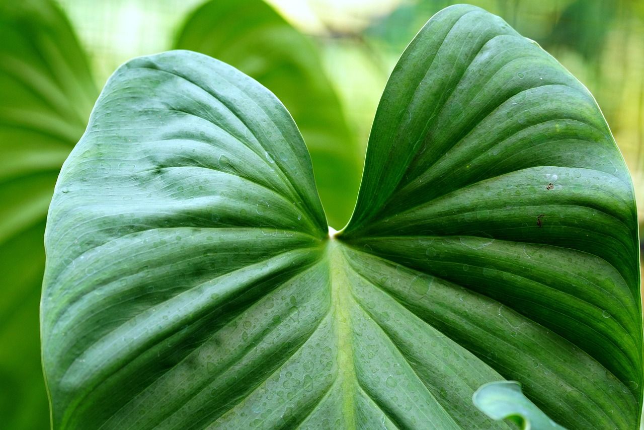 découvrez notre ciment écologique, une solution durable et respectueuse de l'environnement pour vos projets de construction, alliant performance et réduction de l'empreinte carbone.