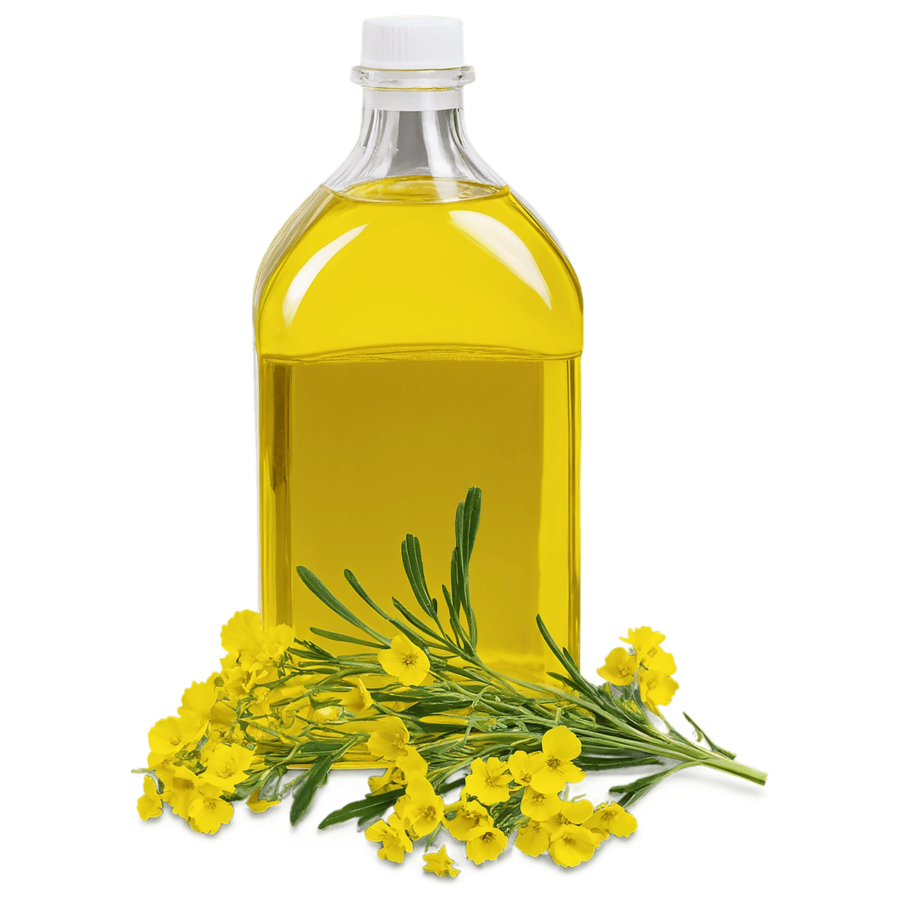 découvrez le biodiesel, une alternative écologique aux combustibles fossiles. apprenez comment cette énergie renouvelable contribue à réduire les émissions de gaz à effet de serre et à promouvoir la durabilité. explorez ses avantages, sa production et son utilisation dans le secteur des transports.