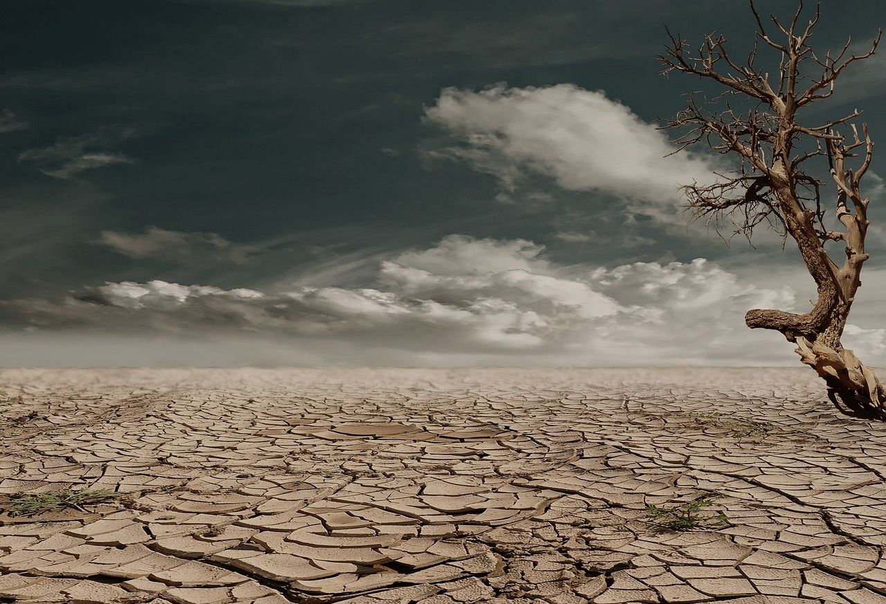 découvrez les stratégies et actions pour atteindre zéro artificialisation des sols, préserver la biodiversité et promouvoir un développement durable.