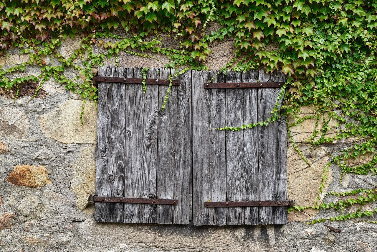 découvrez nos volets en bois traditionnels alliant charme authentique et durabilité pour sublimer votre habitat.