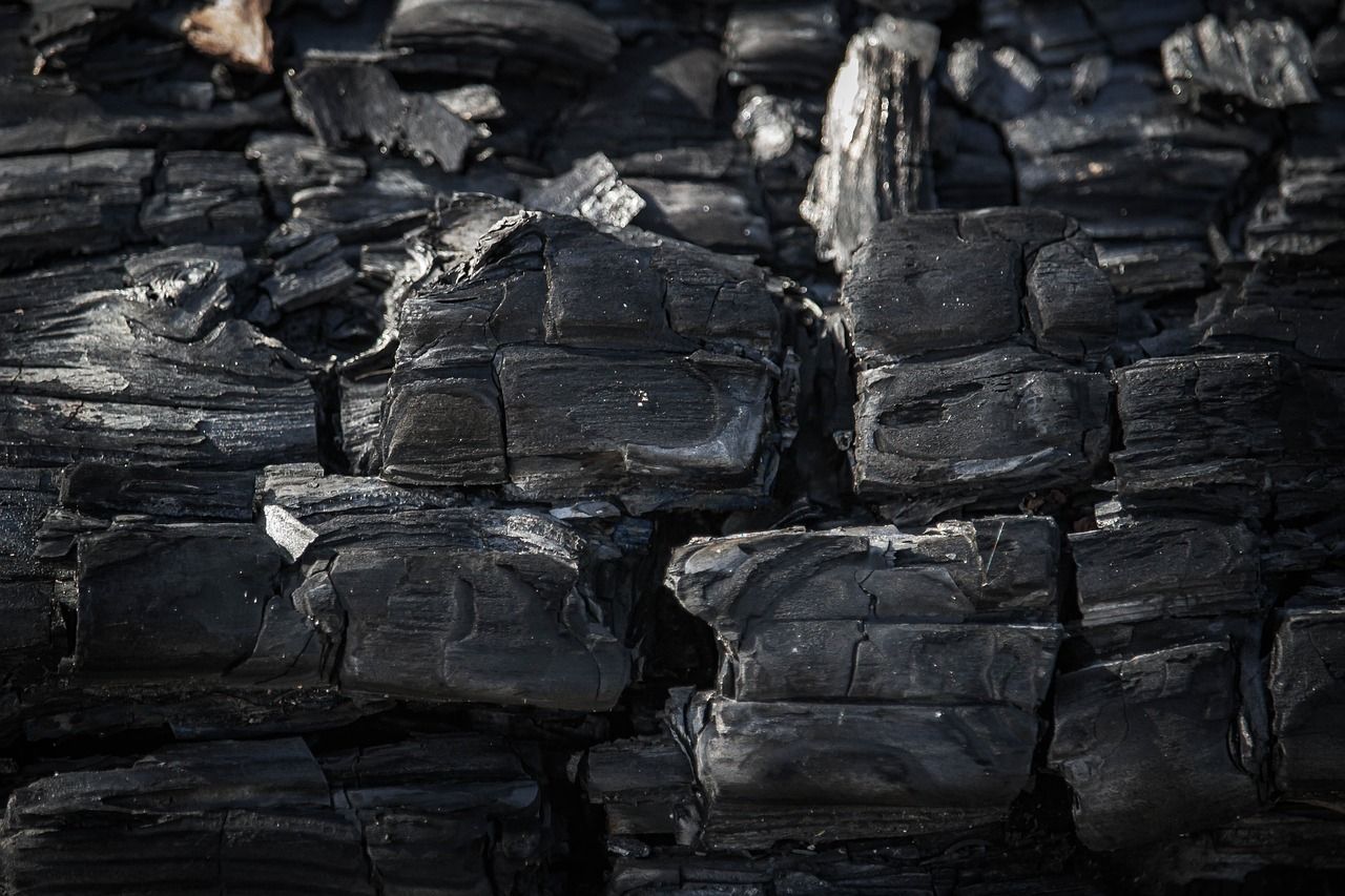 découvrez l'empreinte carbone, un indicateur essentiel de l'impact environnemental de nos activités. apprenez comment mesurer et réduire votre empreinte pour un avenir plus durable.