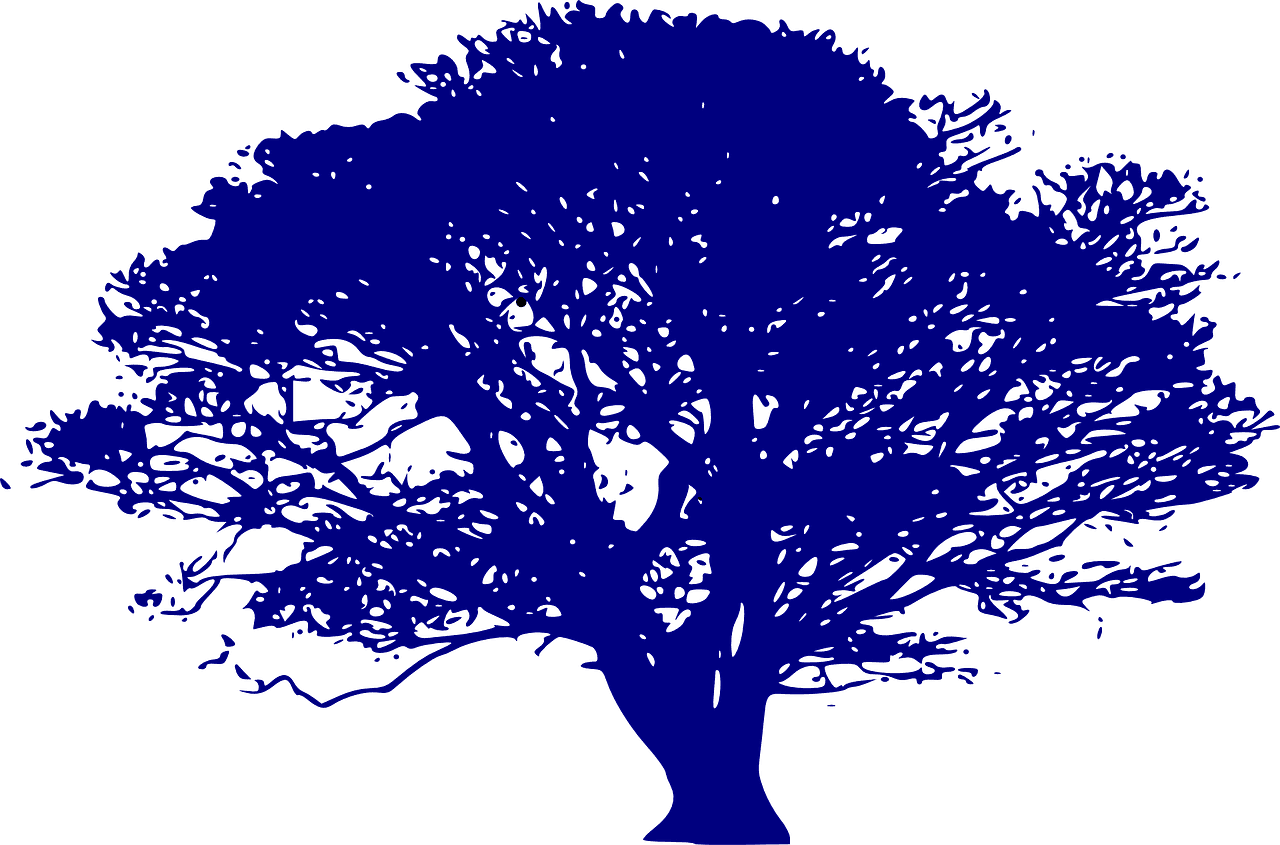 découvrez des stratégies innovantes pour optimiser vos ressources et améliorer l'efficacité de votre entreprise. apprenez à maximiser l'utilisation de chaque atout avec des méthodes éprouvées.