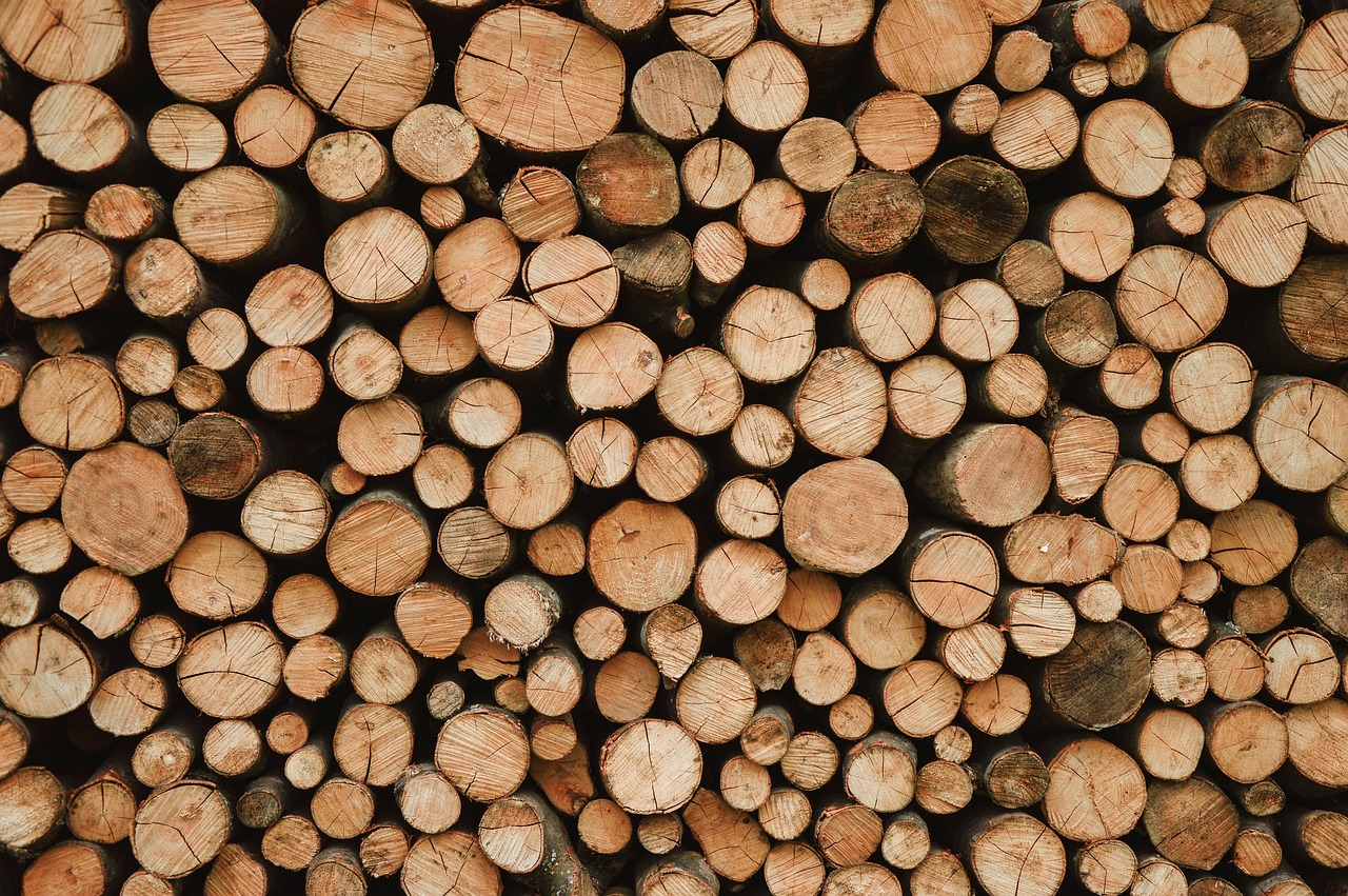 la déforestation désigne la destruction massive des forêts, entraînant la perte de biodiversité, des impacts environnementaux majeurs et des perturbations climatiques.