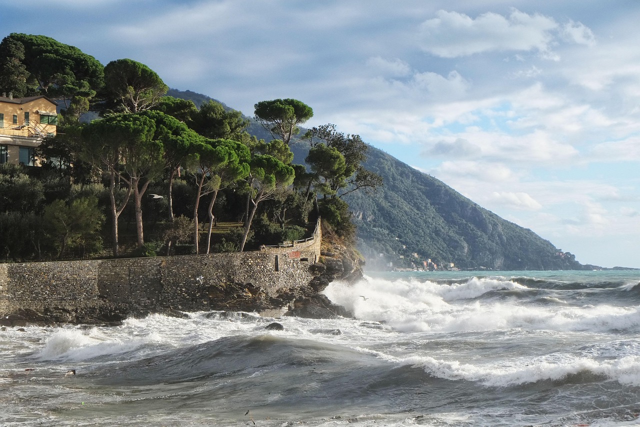 ENTRETIEN. « Un impact dévastateur pour les sinistrés » : retour sur le passage de la tempête N