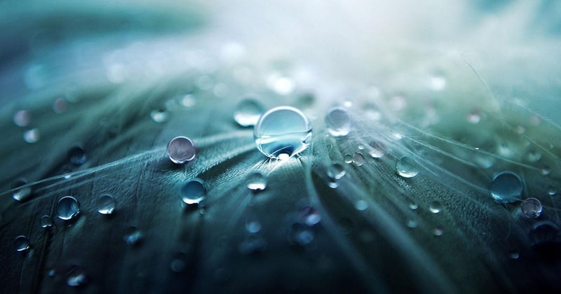 Comment recycler l'eau de pluie pour son jardin et économiser au fil des saisons