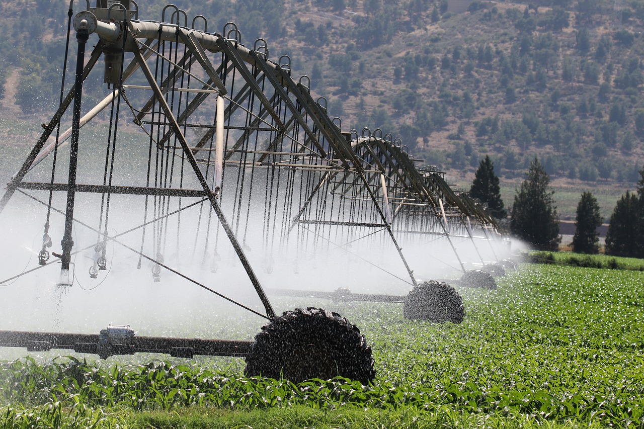 L’impact du changement climatique sur l’agriculture : vers un bilan carbone responsable