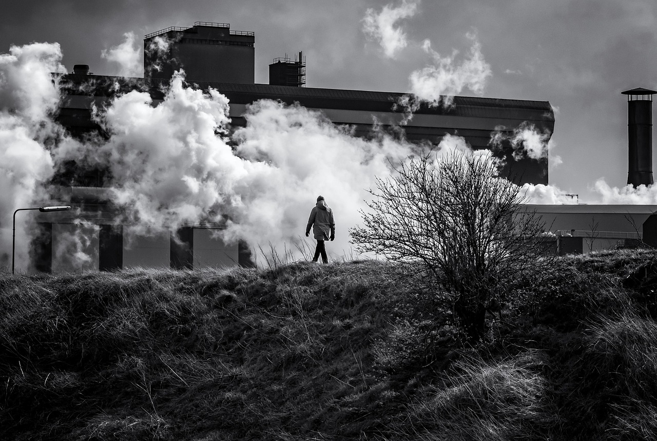 Quand la forêt devient source de CO₂ : comprendre pourquoi elle peut émettre plus de carbone qu’elle n’en absorbe