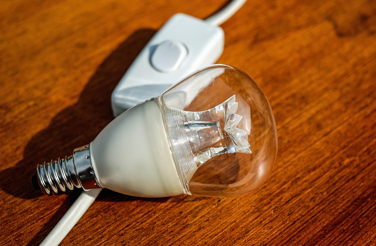 Démêler le vrai du faux : énergie, gaz à effet de serre et dynamique de la population