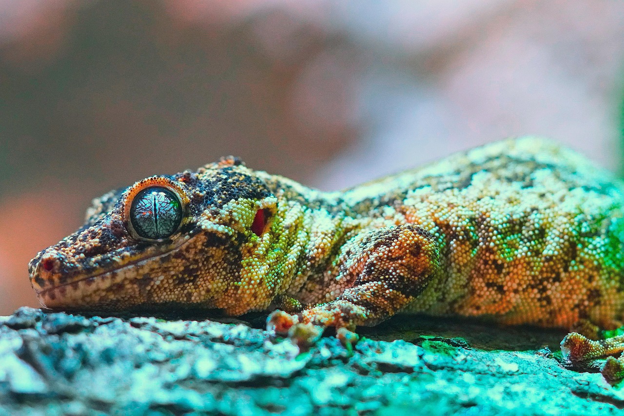Biodiversité : Comprendre son impact sur notre écosystème et notre avenir