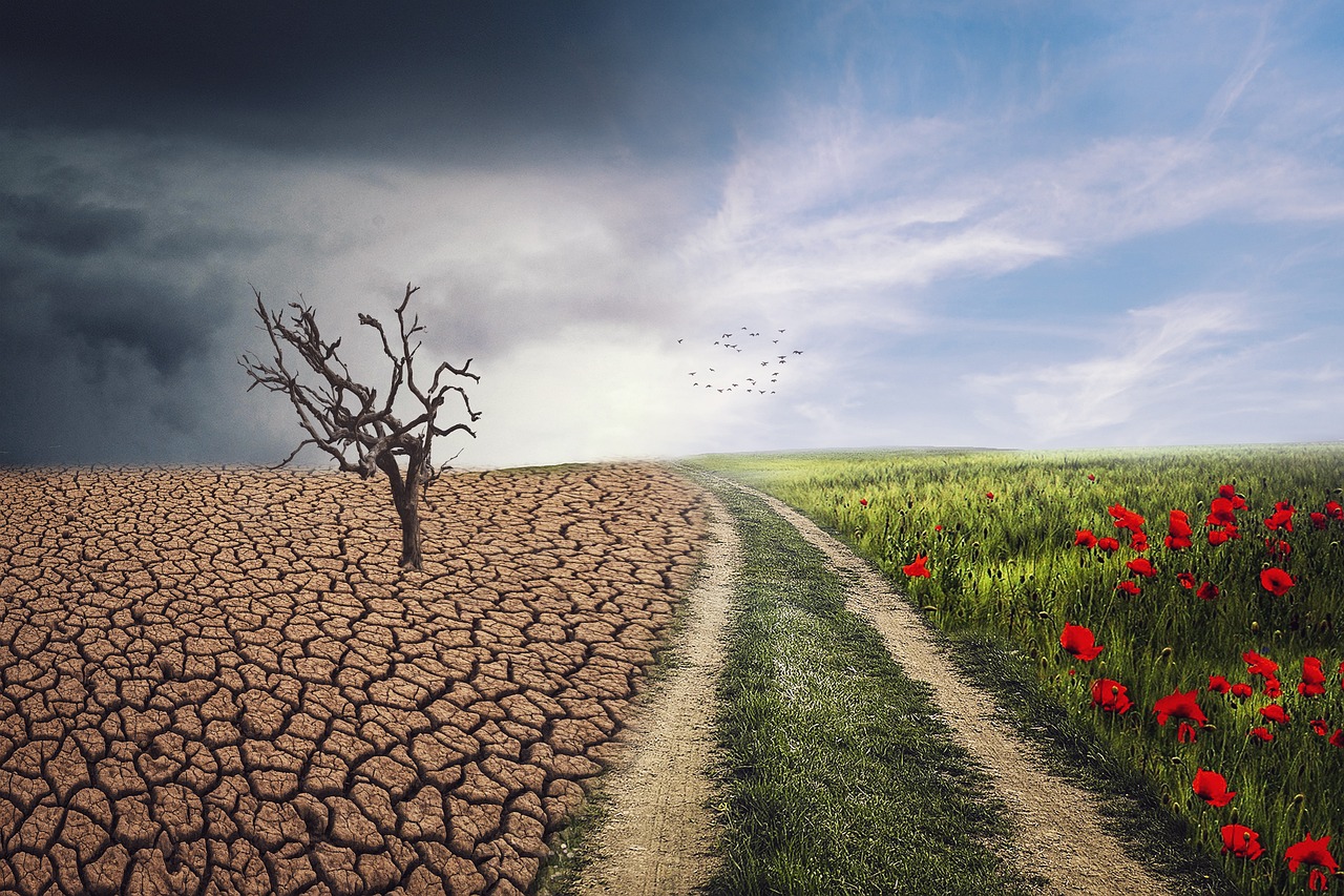 Changements climatiques : impacts sur la biodiversité et la santé humaine