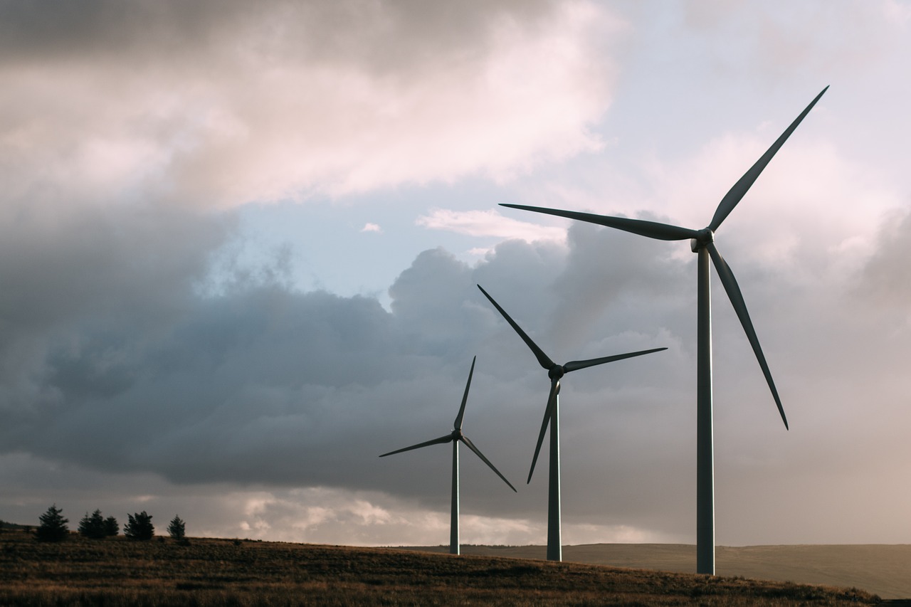 Allemagne : Une réduction des émissions de carbone propulsée par la montée en puissance des énergies renouvelables