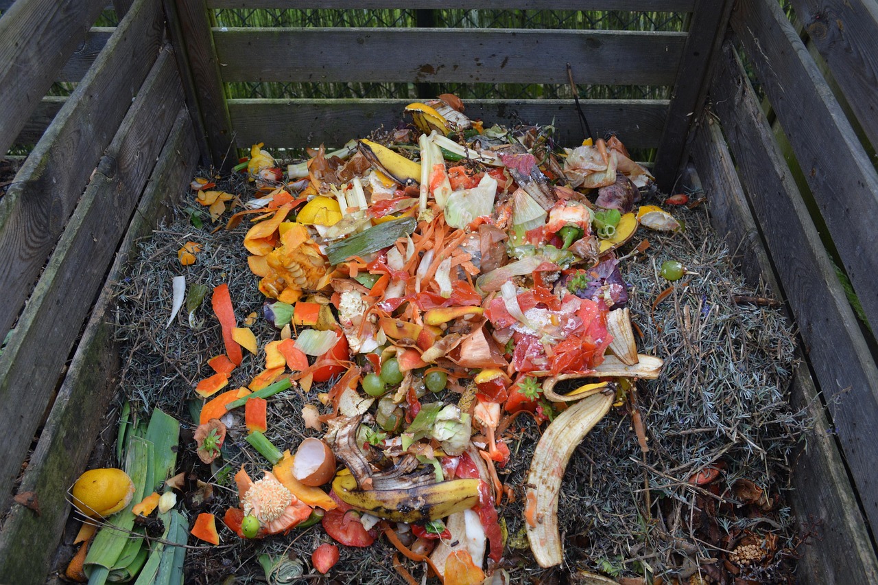 Comment j’ai transformé mon potager en bannissant cet objet : un changement radical qui a aussi fait plaisir à mon portefeuille