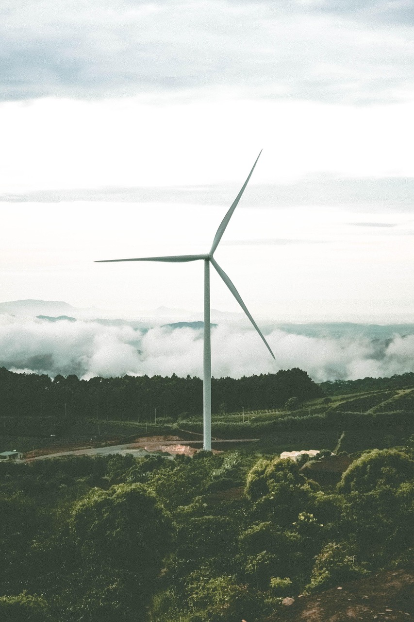 Énergie renouvelable : Comprendre les différentes formes et leur impact en 2025