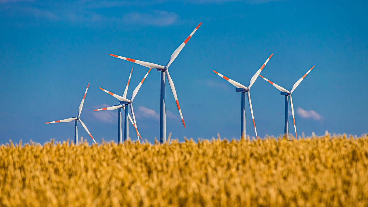 Pilotage durable : stratégies pour une gestion écoresponsable