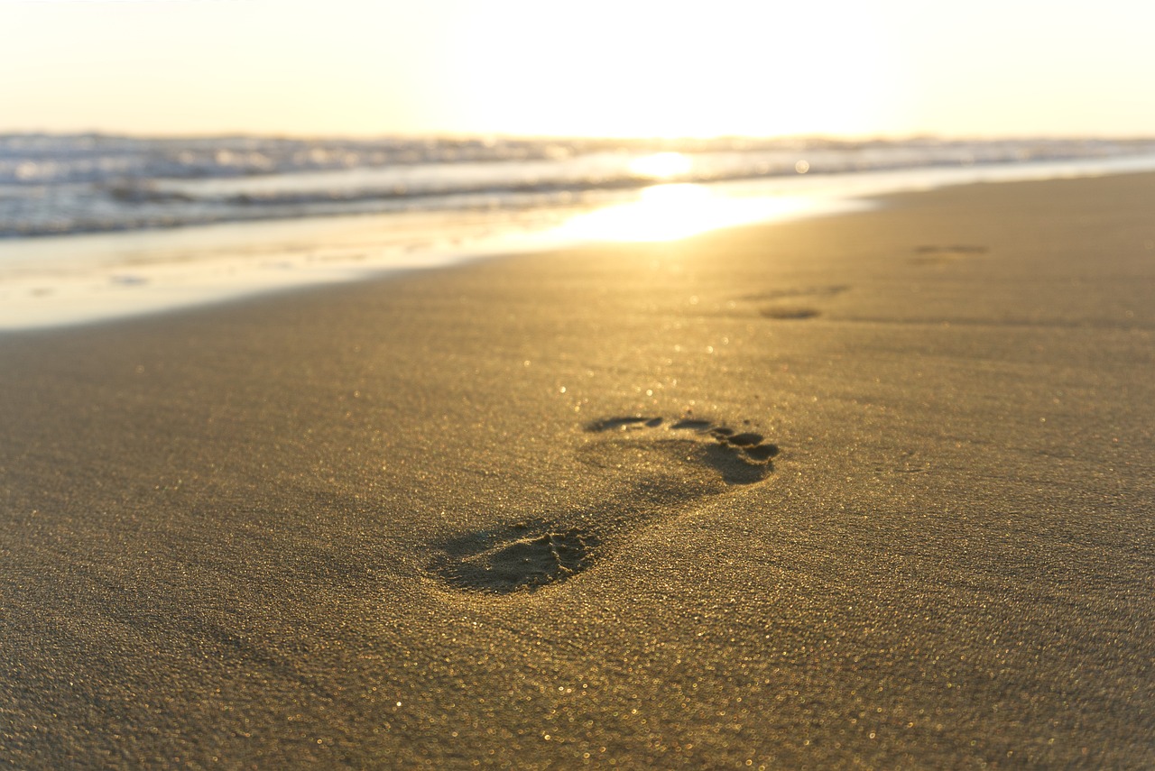 La place du bilan carbone dans les agendas politiques
