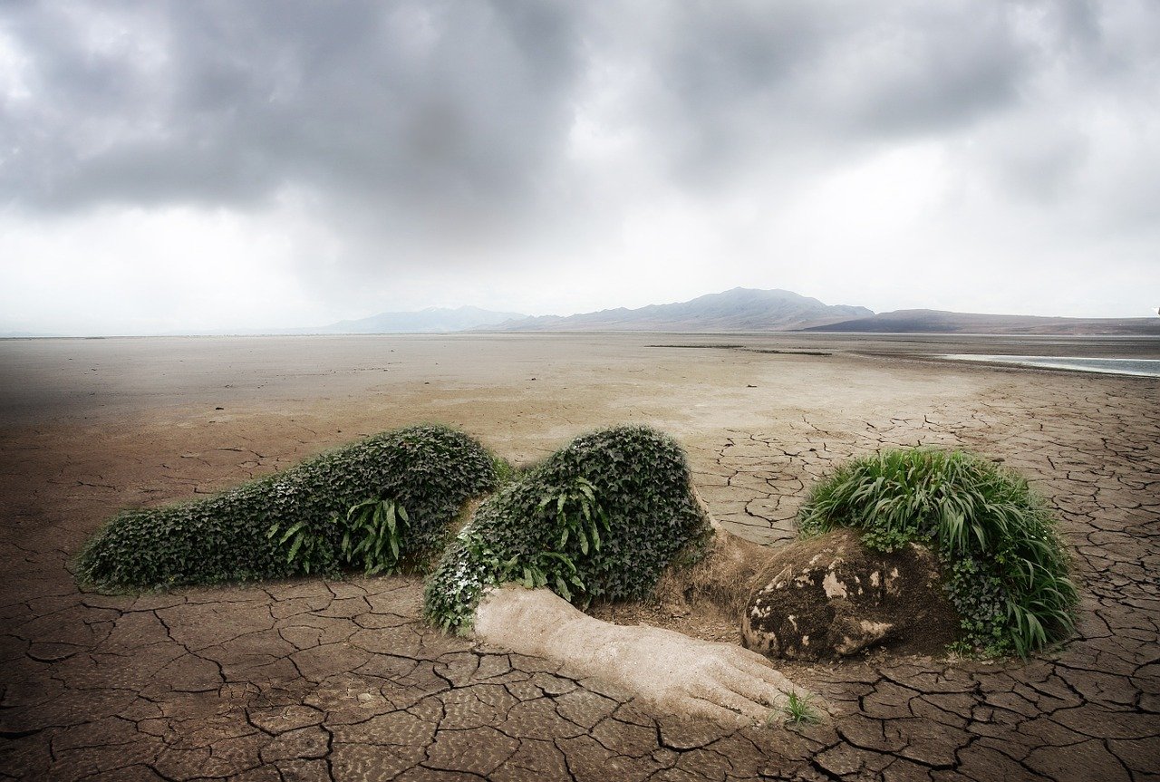 Démarcations environnementales : comprendre leur importance pour la biodiversité