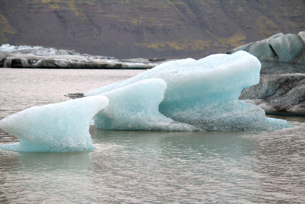 Changement climatique : comprendre ses impacts sur notre planète