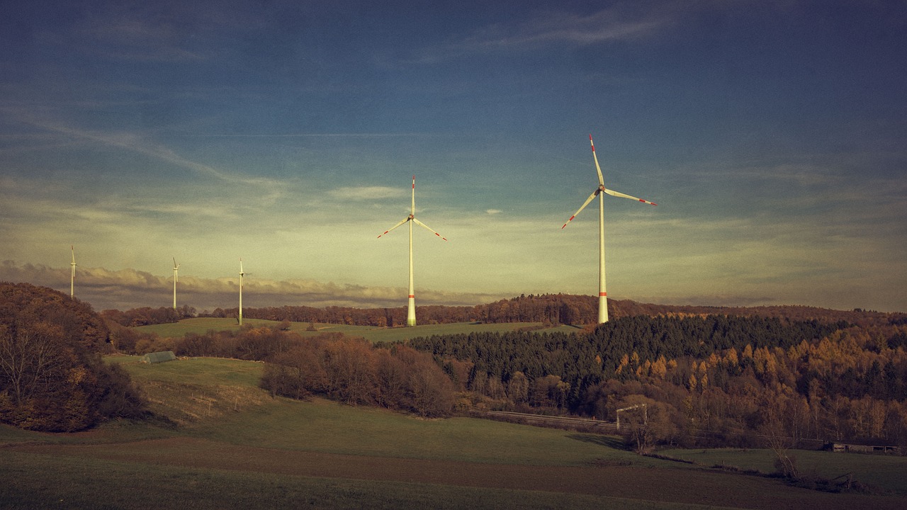 Protection de l’environnement : 10 gestes simples pour réduire notre impact
