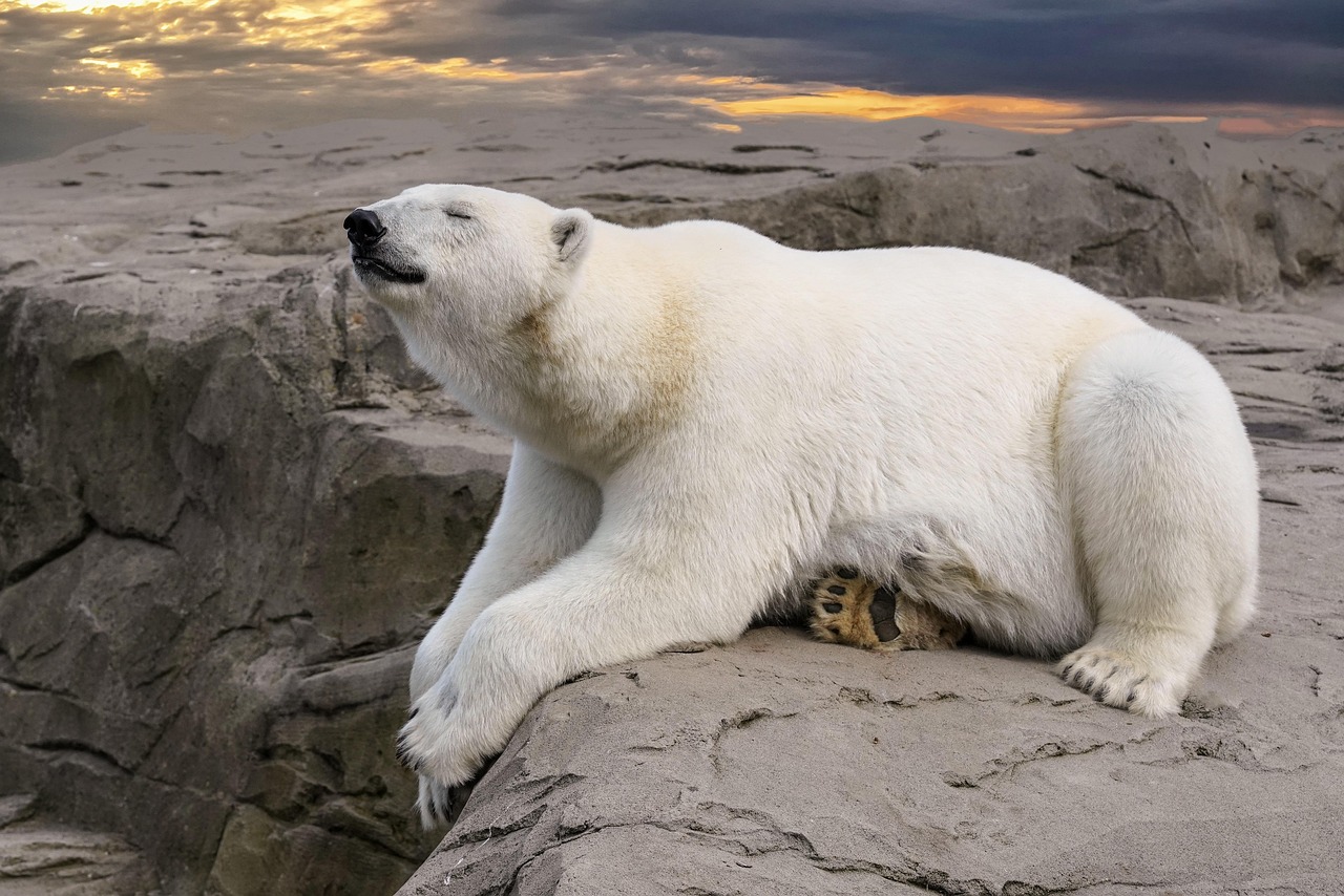 Climat : comment réduire votre empreinte carbone au quotidien