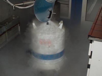 Nitrocraft : Un quart de siècle d’excellence dans la production d’azote gazeux directement sur site