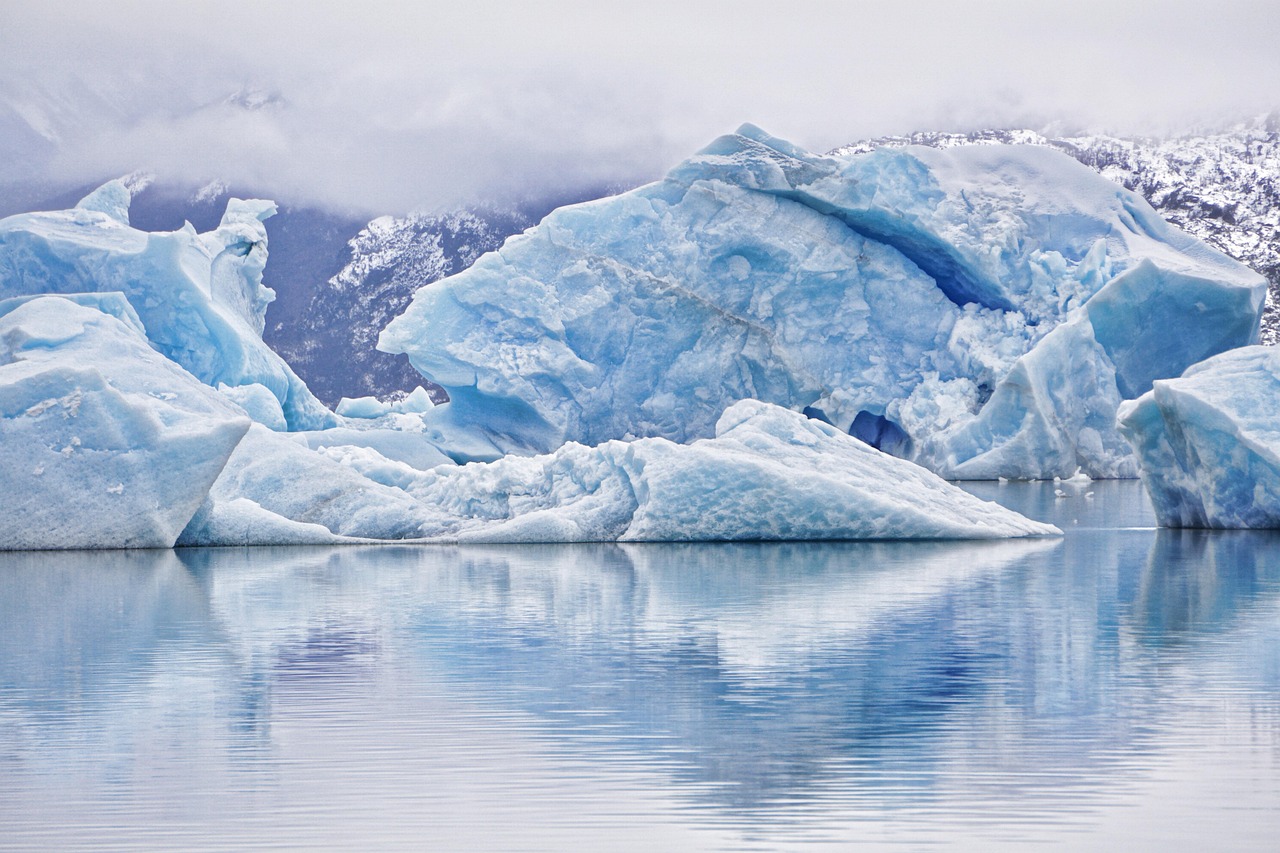 Financement climatique : Stratégies et solutions pour un avenir durable