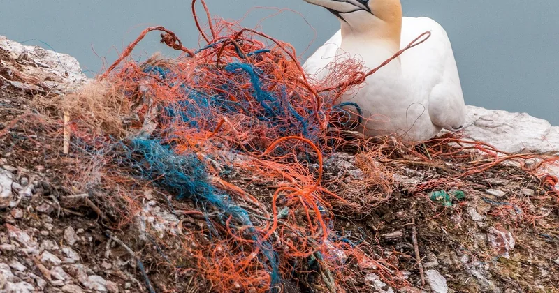 Quelles sont les solutions pour réduire la pollution plastique ?