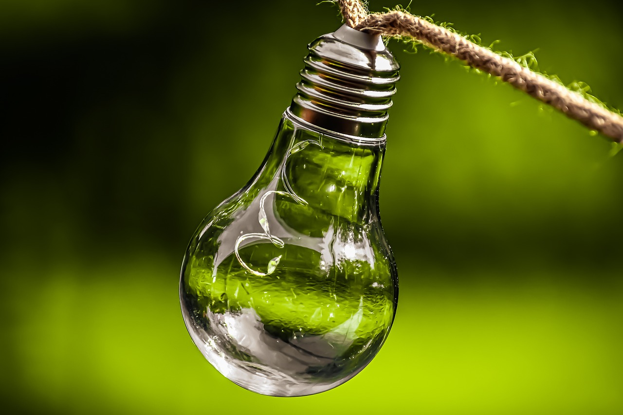 Vers un avenir durable : l’importance de l’engagement environnemental