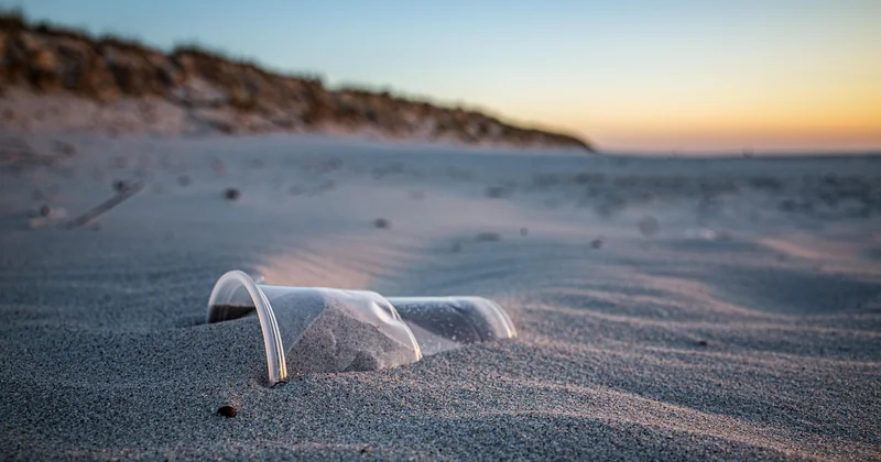 Quelles sont les solutions pour réduire les déchets plastiques ?