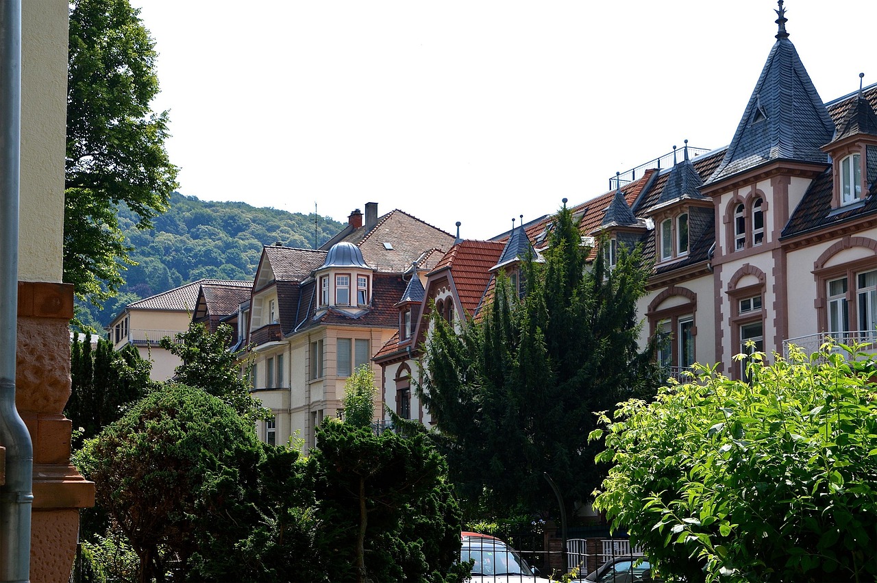 Je végétalise, tu végétalises, nous végétalisons : les projets des candidats aux municipales pour verdir nos villes